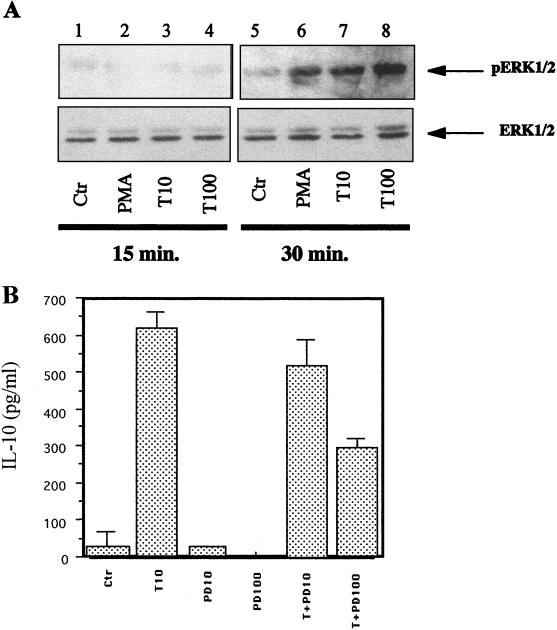 FIG. 9