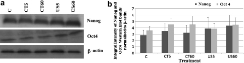 Fig. 6