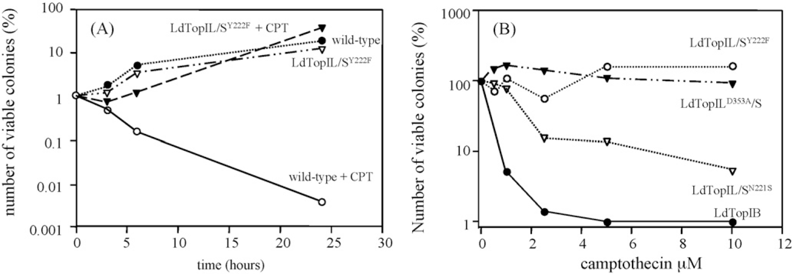 Fig. 5 –