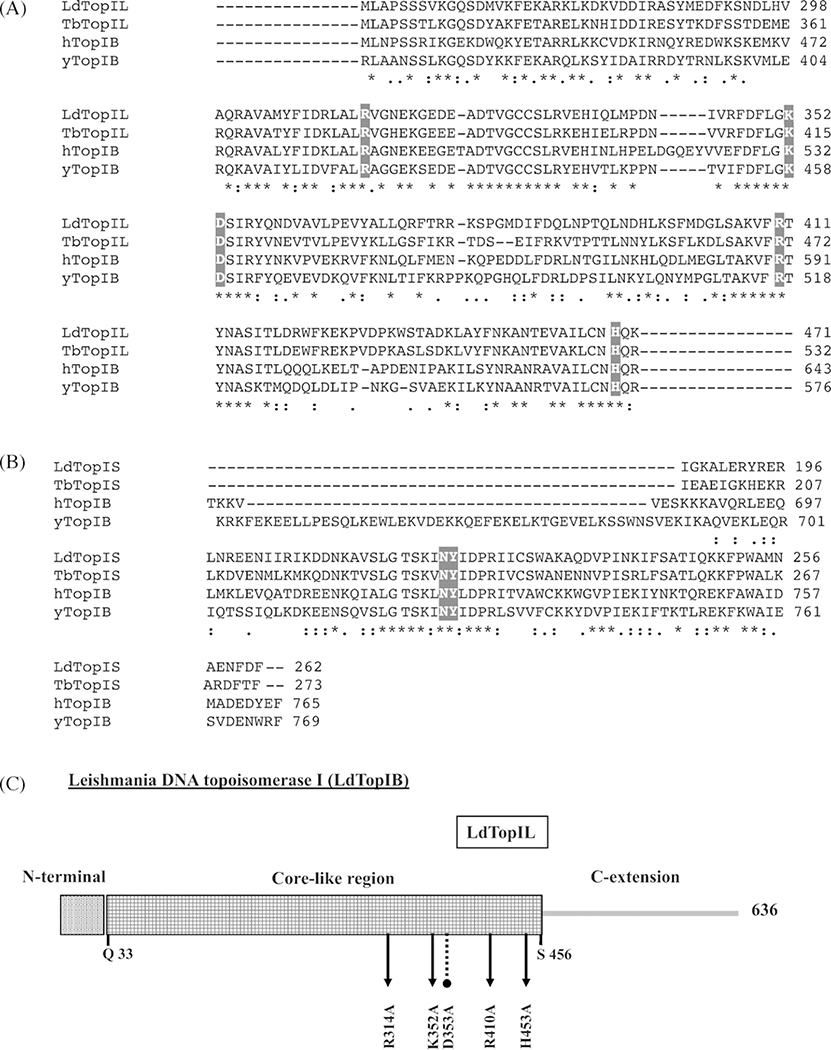 Fig. 1 –