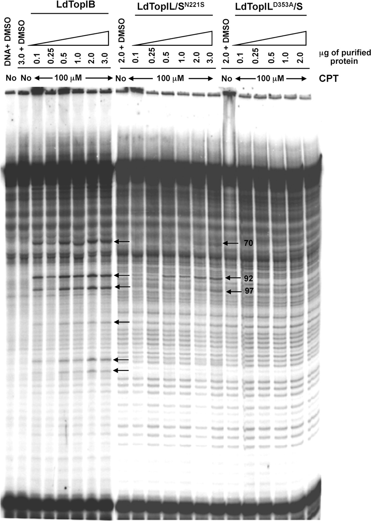 Fig. 6 –