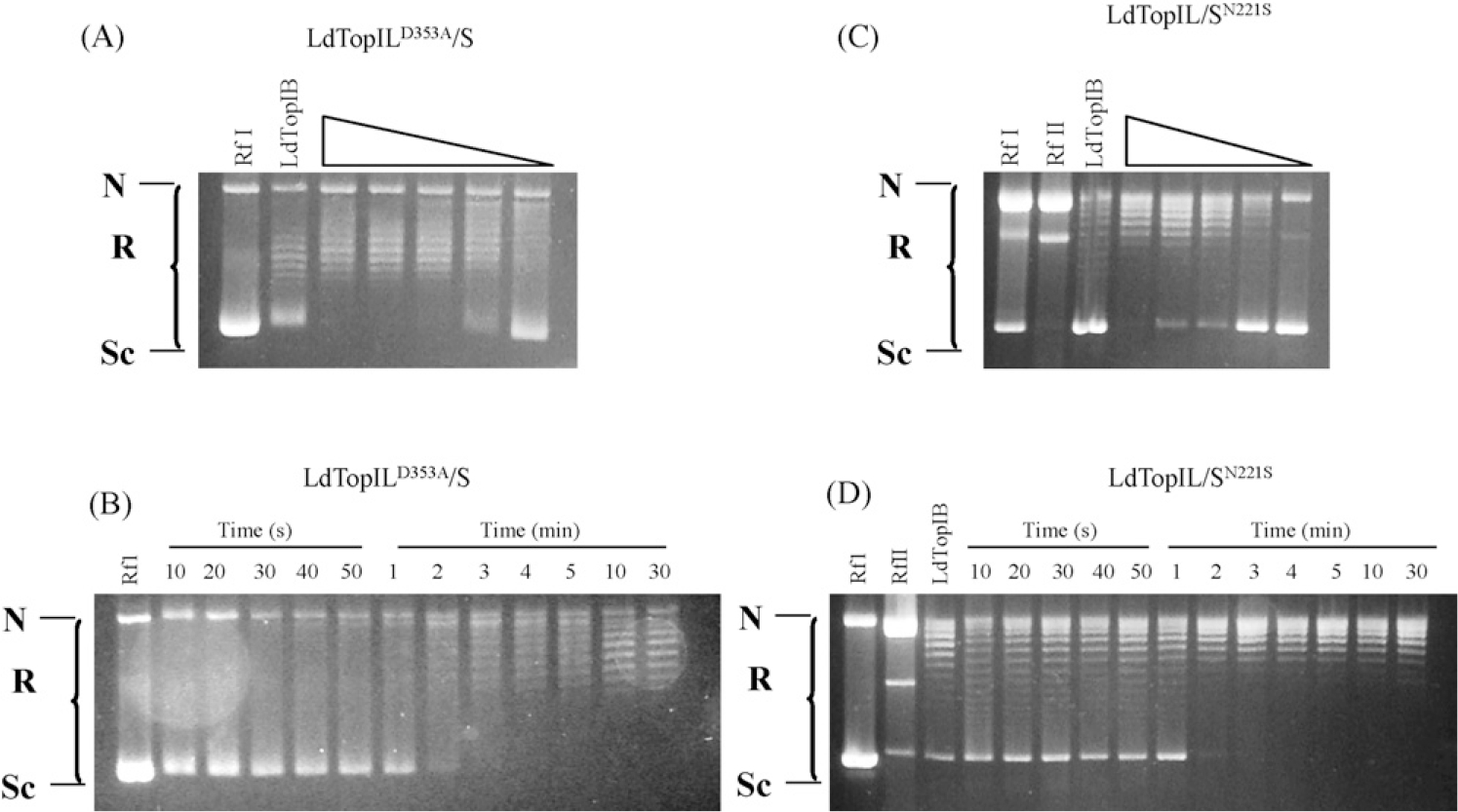 Fig. 3 –