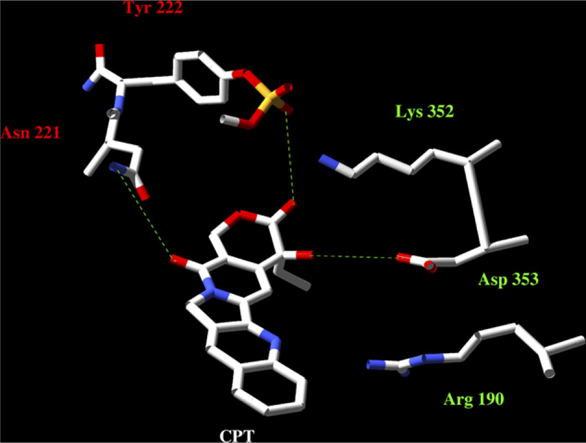 Fig. 7 –