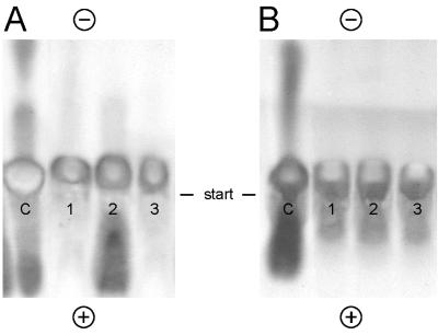 FIG. 5.