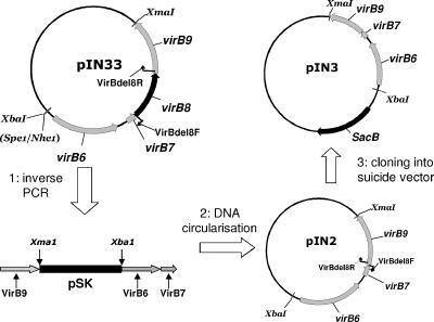 FIG. 1.