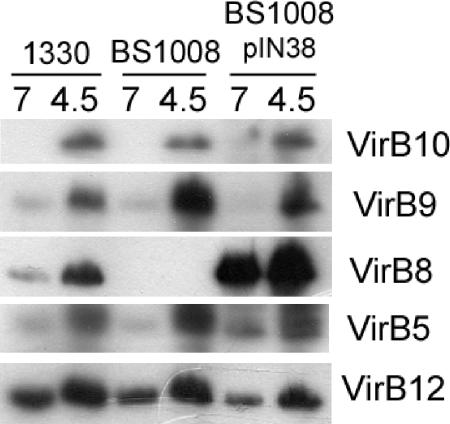 FIG. 2.