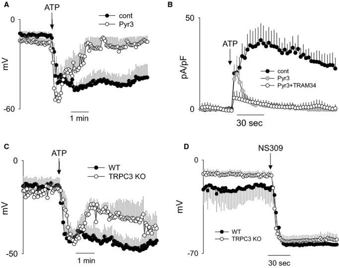 Figure 7.