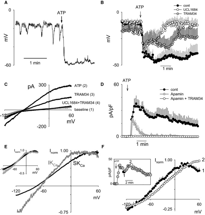 Figure 6.