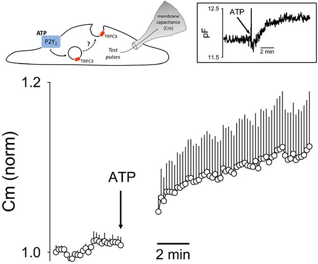 Figure 11.