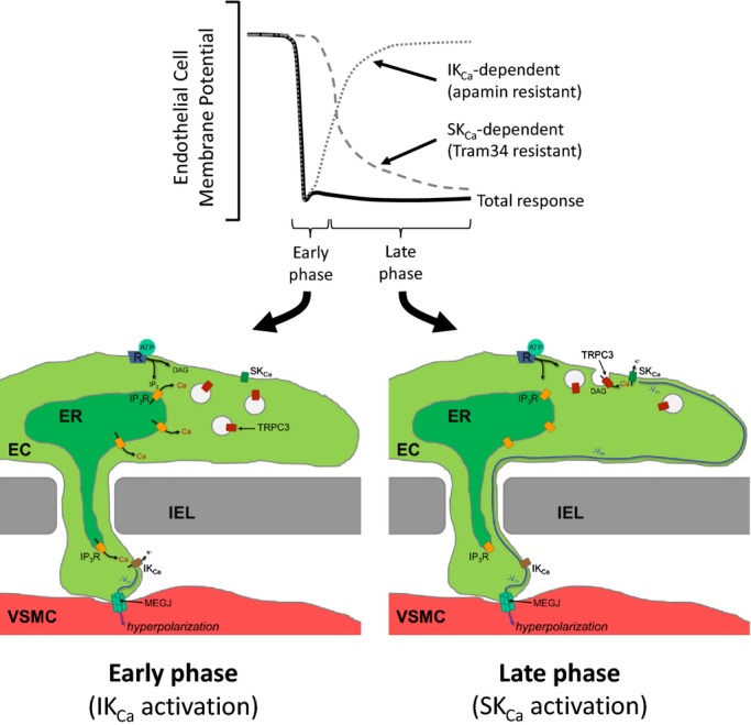 Figure 12.