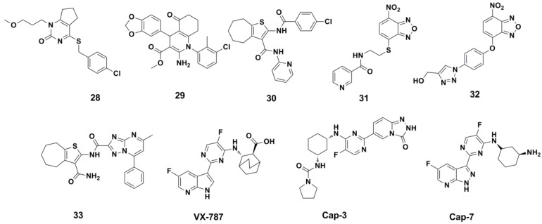 Figure 13