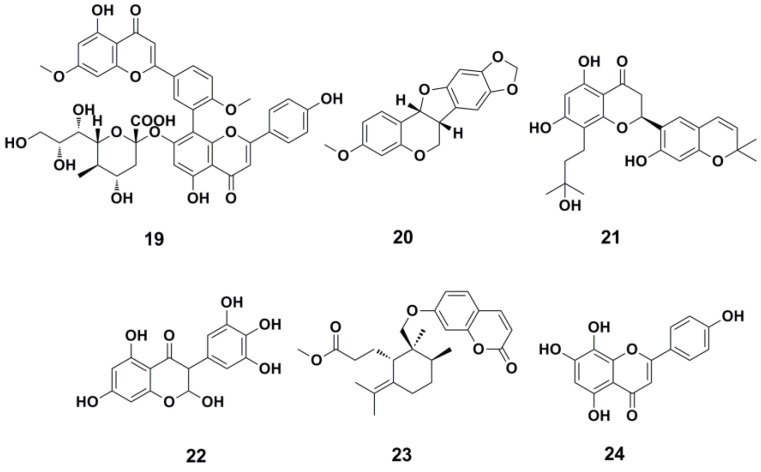 Figure 11