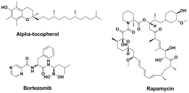 Figure 19