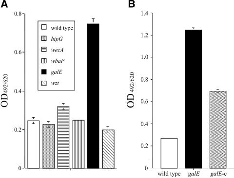 FIG. 4.