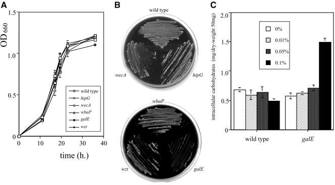 FIG.2.