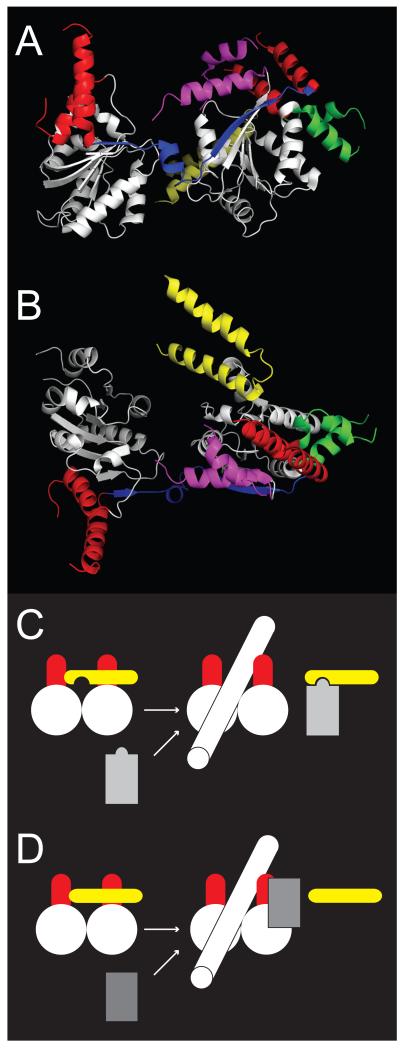 Fig 4