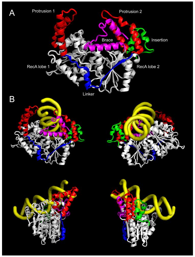 Fig 3