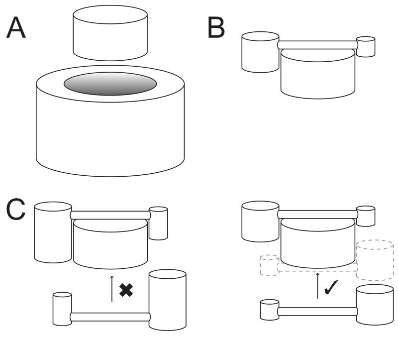 Fig 6