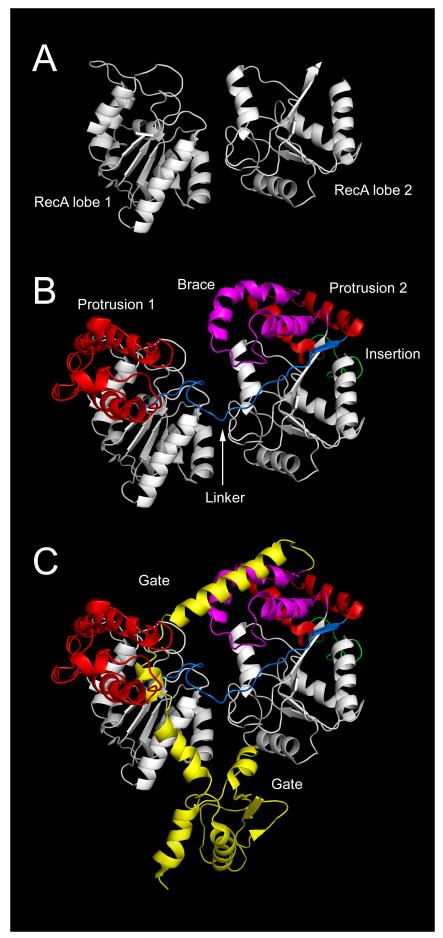 Fig 5