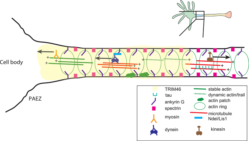 Figure 2: