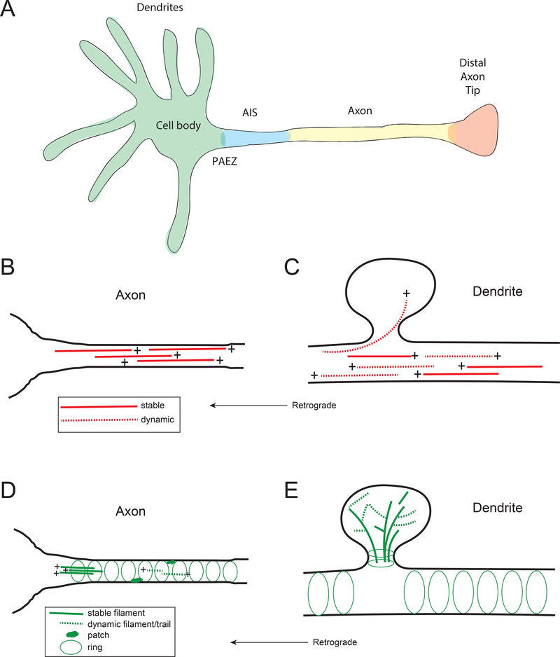 Figure 1: