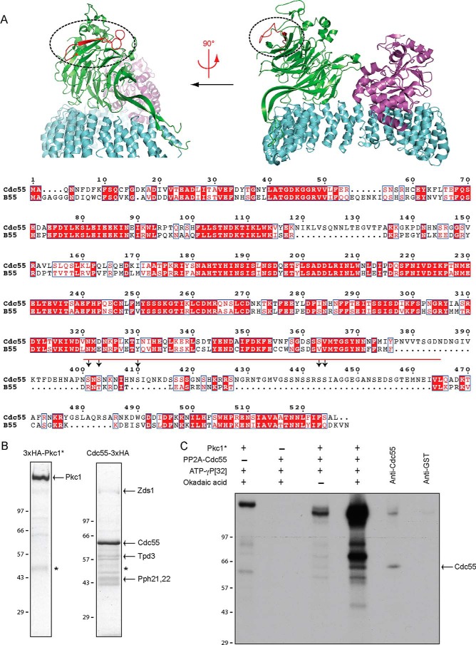 FIGURE 6.