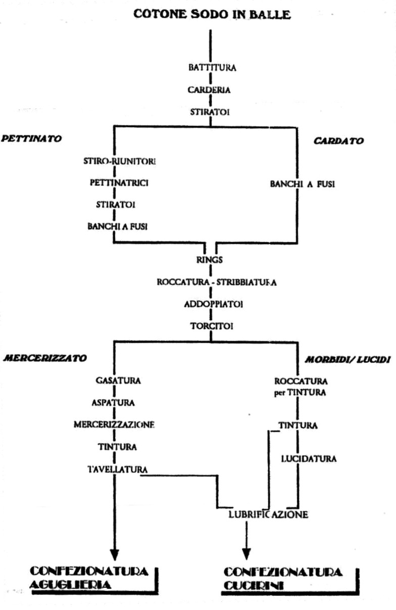 Figura 1