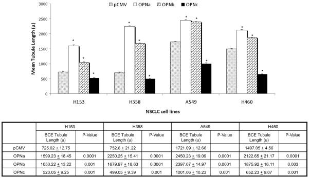 Figure 4a