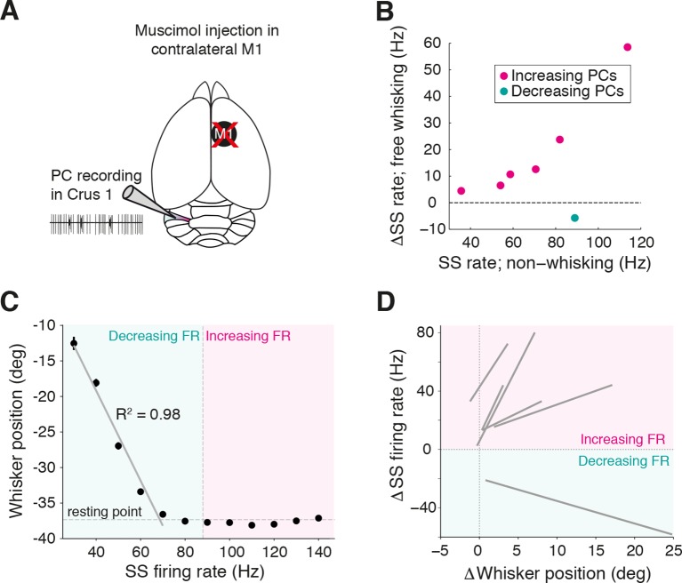 Figure 3—figure supplement 2.