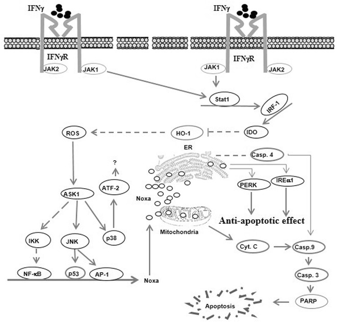 Fig. 7