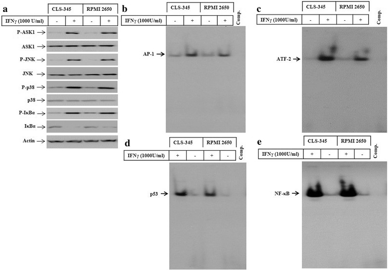 Fig. 3