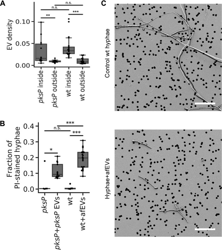 FIG 4