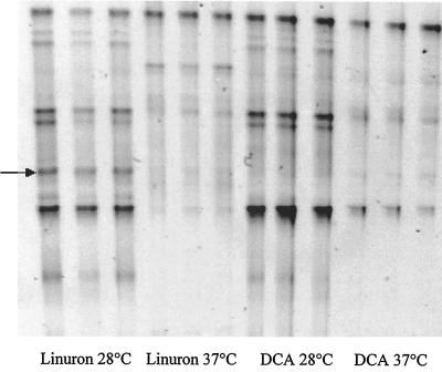 FIG. 5