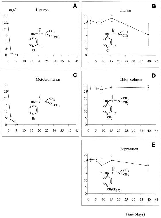 FIG. 6