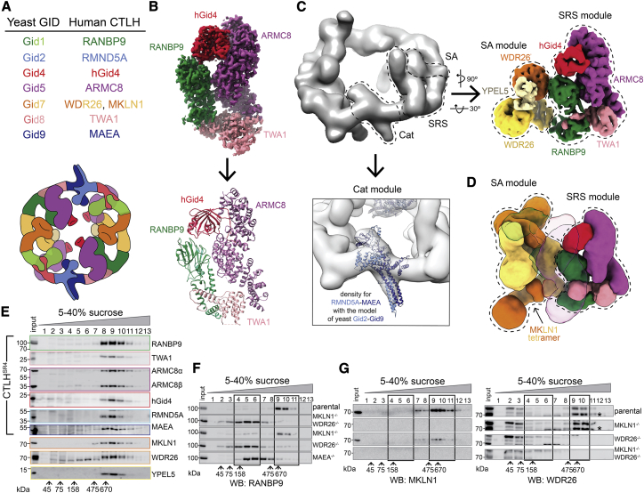 Figure 6