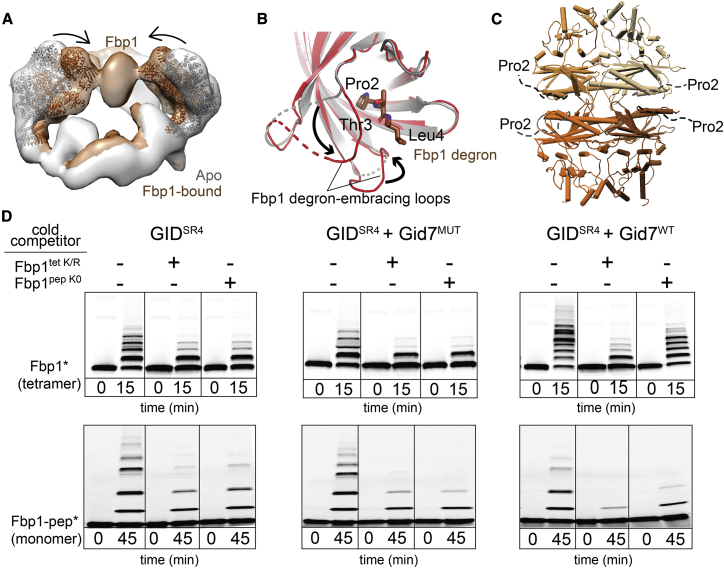 Figure 4