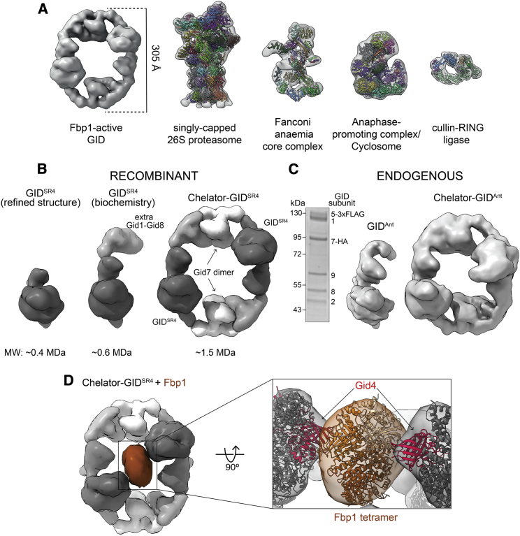 Figure 2