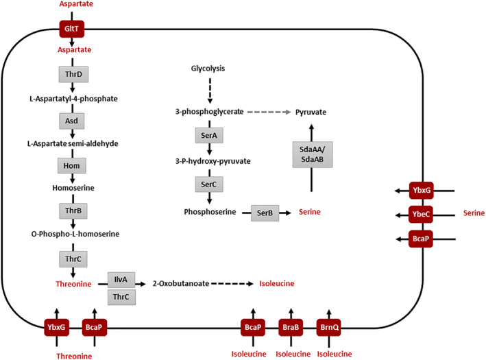 Fig. 1