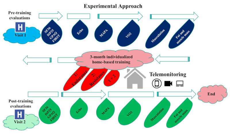 Figure 1.