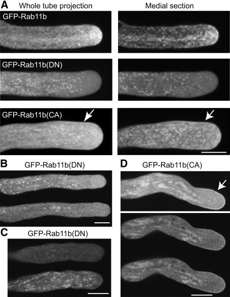 Figure 3.