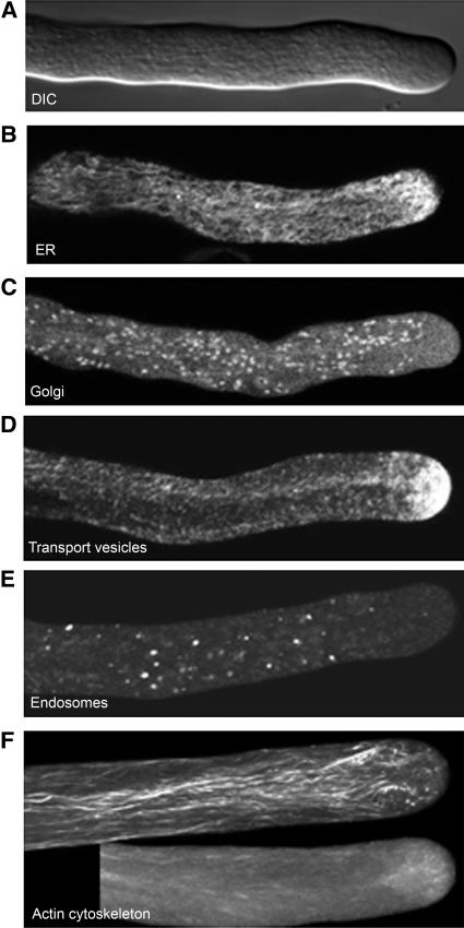 Figure 10.