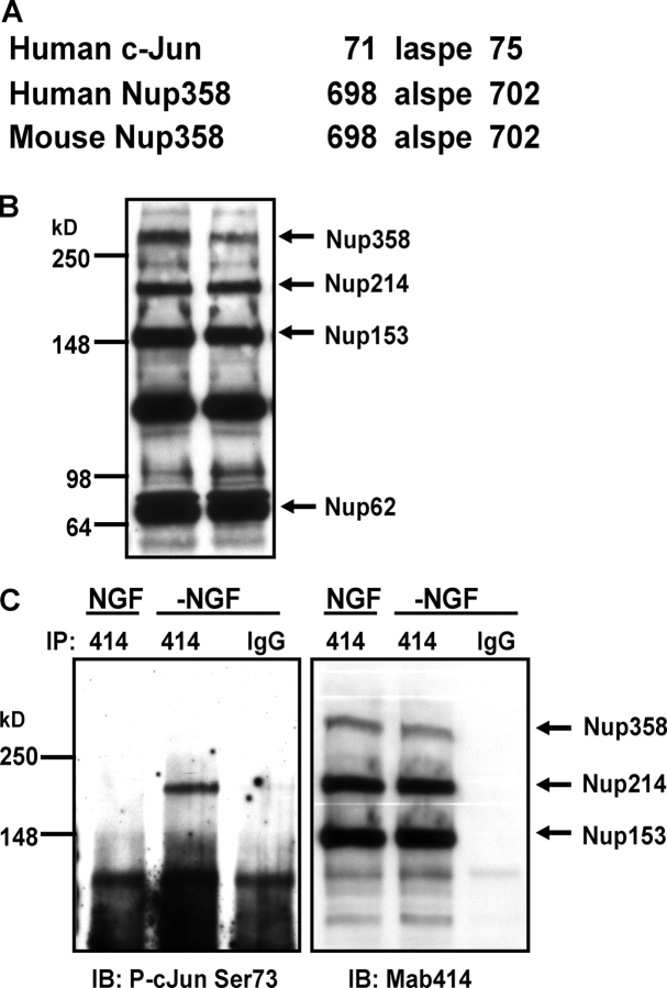 Figure 9.