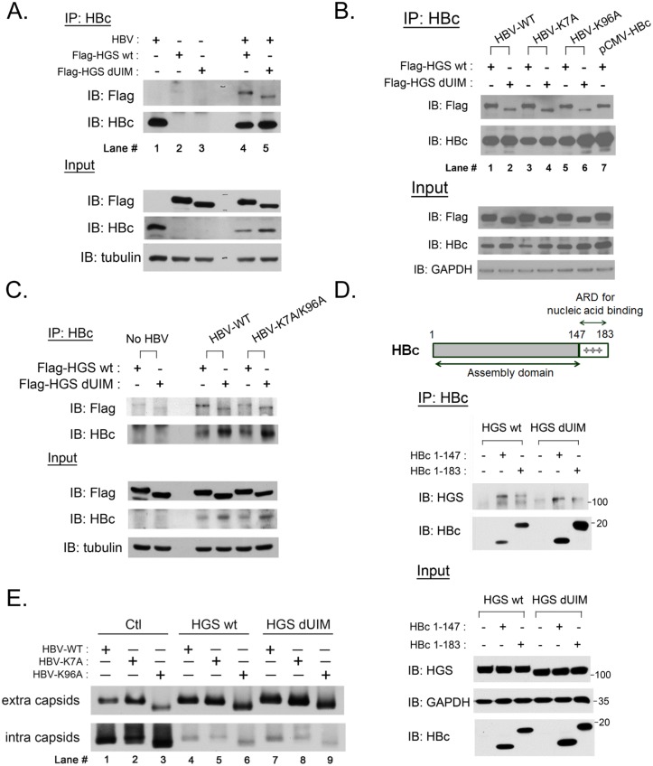 Fig 7