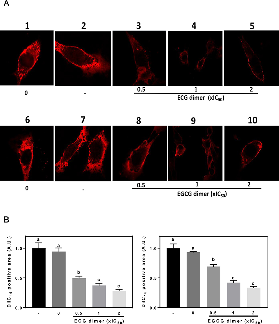 Fig. 8.