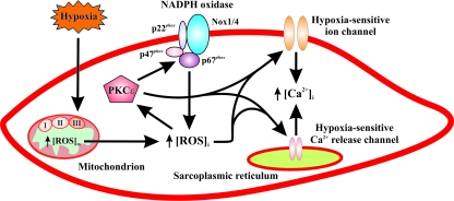 FIG. 4.