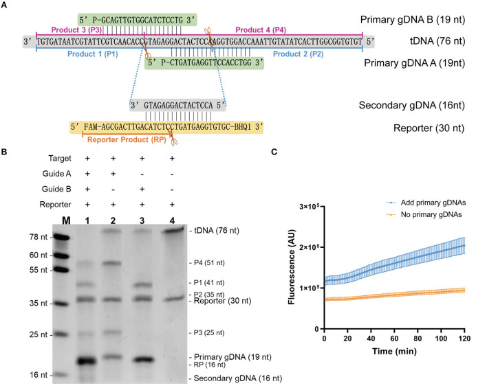 Figure 2