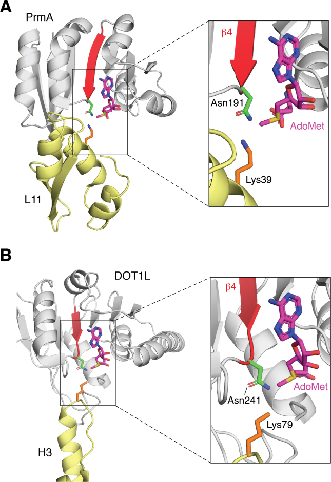 Figure 4