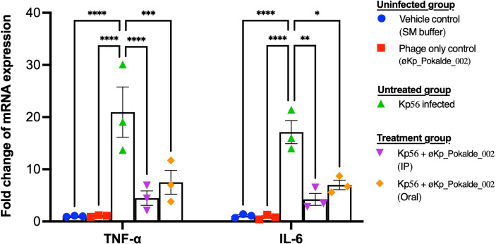 Figure 5