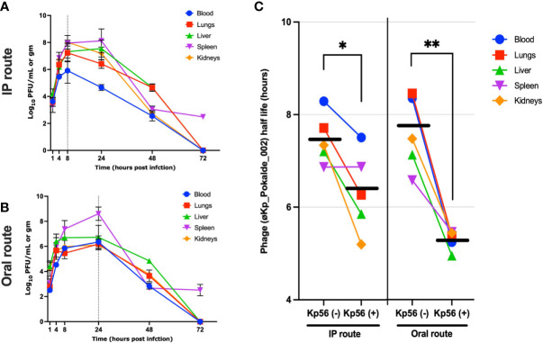 Figure 3