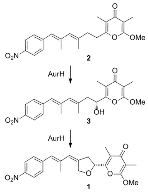 Scheme 1